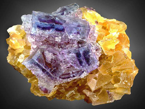 Ξʯ�V�x�V��ˇ